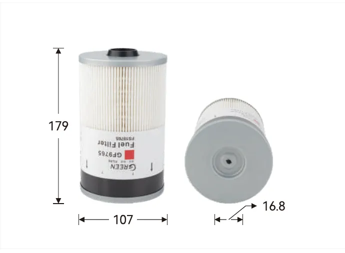 GF9765 Fuel filter