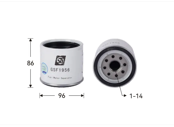 GSF1956 Fuel filter