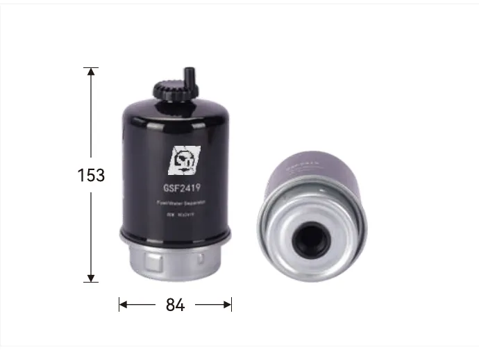 GSF2419 Fuel filter