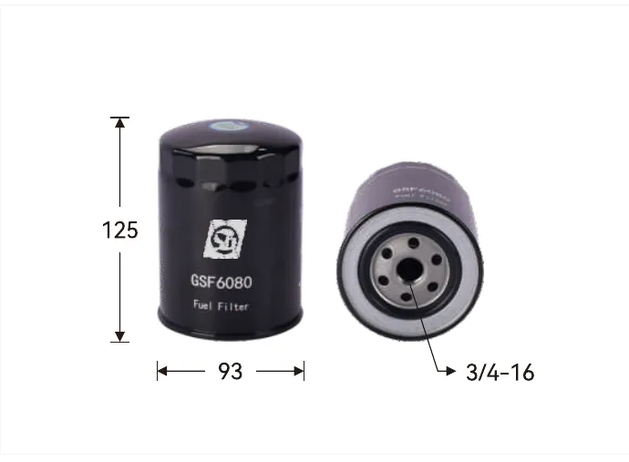 GSF6080 Fuel filter