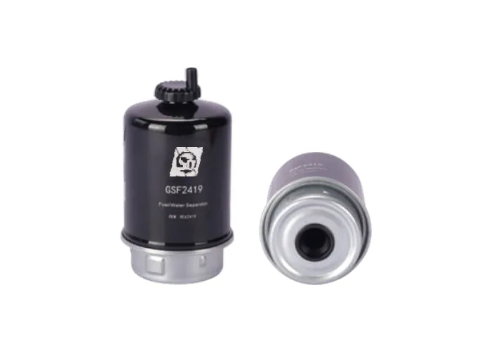 GSF2419 Filtro de combustible