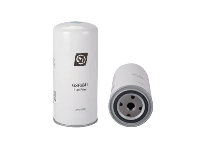 GSF3841 Filtro de combustible