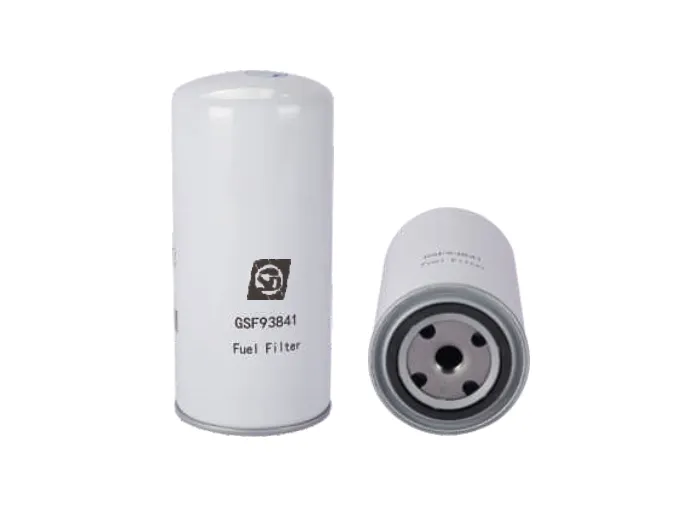 GSF93841 Filtro de combustible